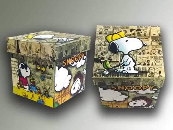 Caixa Porta Caneca ou Trecos Snoopy