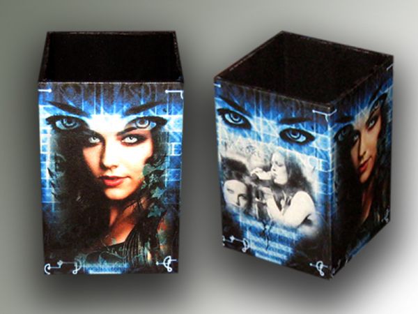 Porta Lápis Evanescence